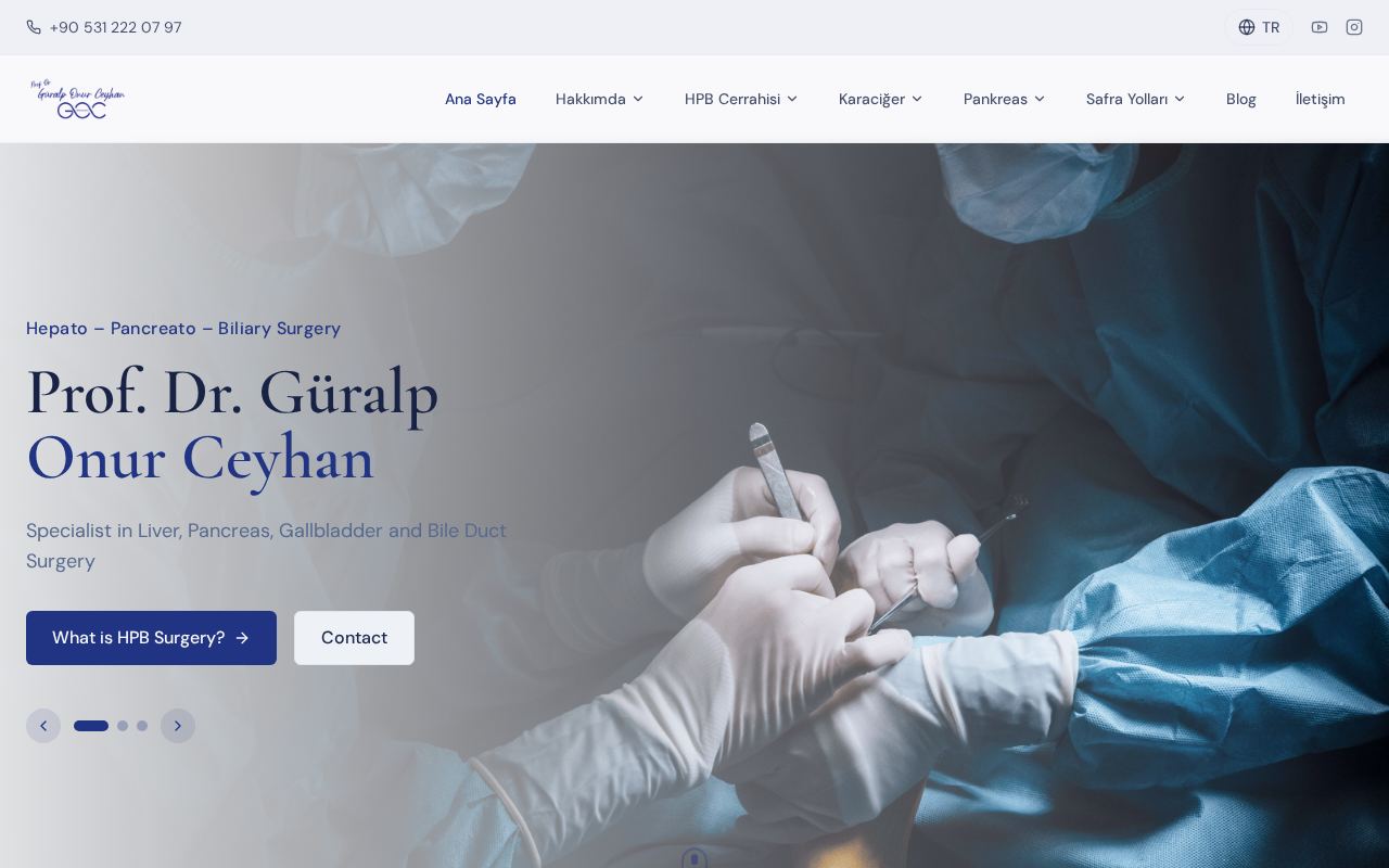 Prof. Dr. Güralp Onur Ceyhan web sitesi ekran görüntüsü